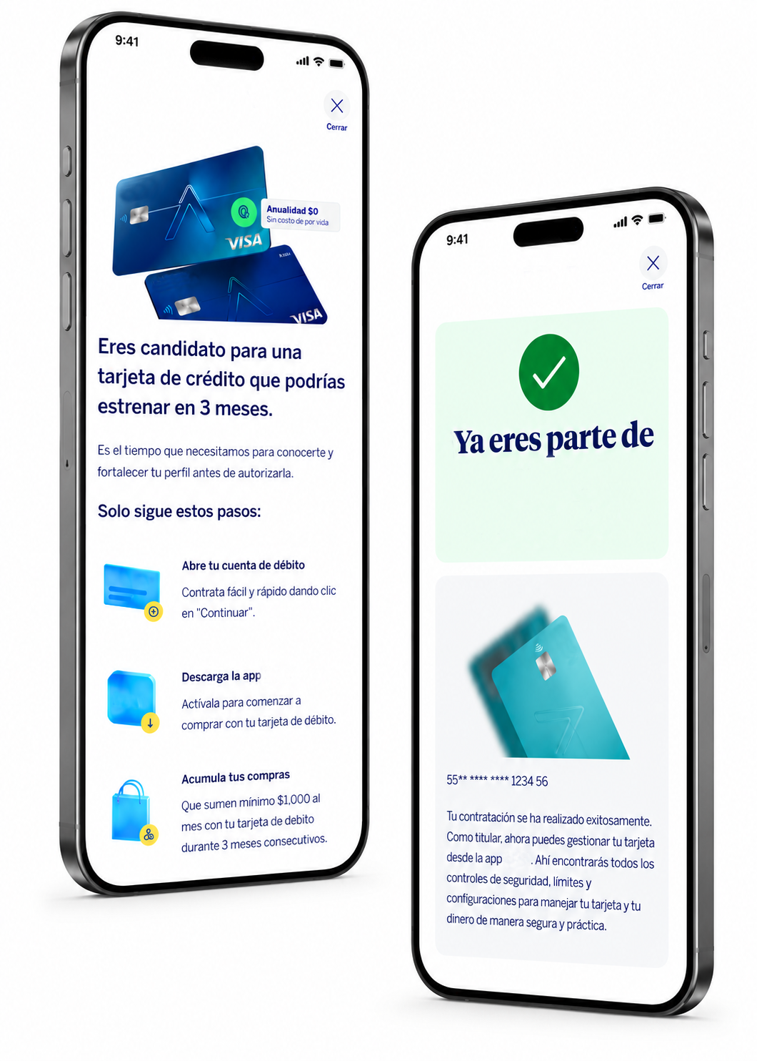 Pantalla de rechazo — Fall Back Option